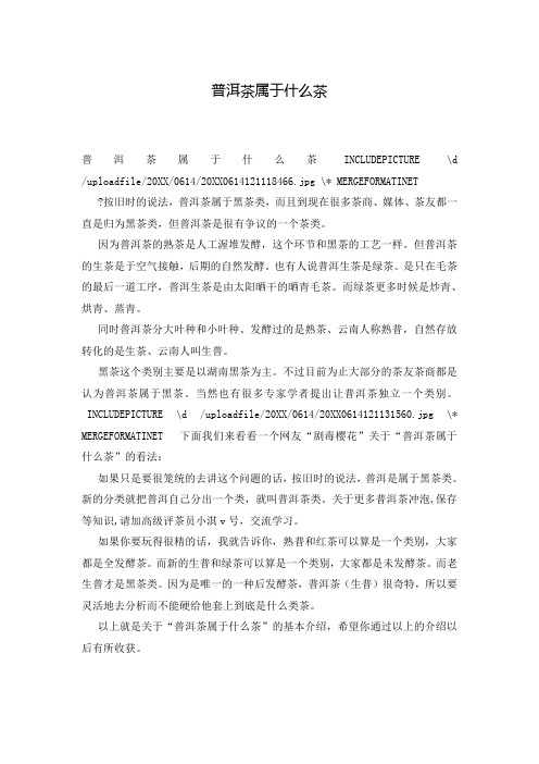 普洱茶属于什么茶