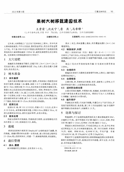 果树大树移栽建园技术