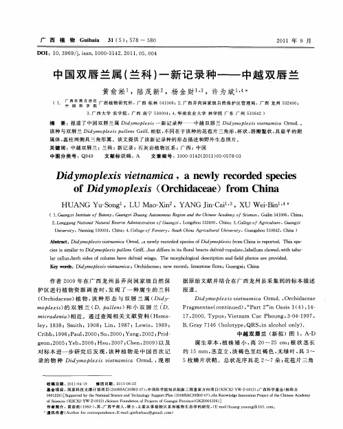 中国双唇兰属(兰科)-新记录种——中越双唇兰