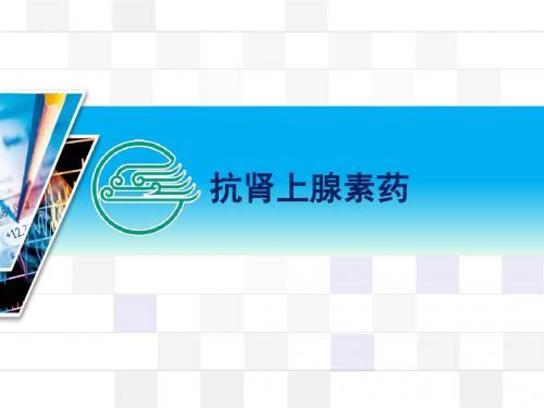 抗肾上腺素药