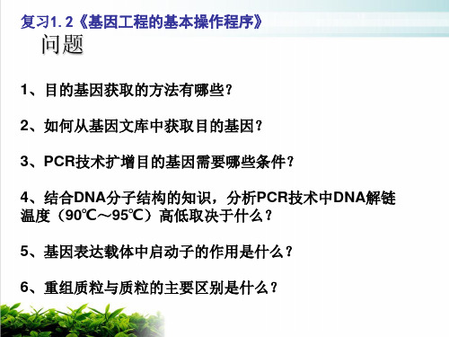 人教版高中生物选修3专题一：基因工程的应用实用课件