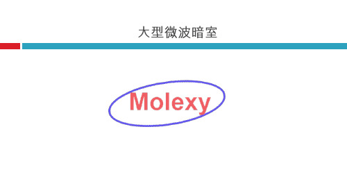 大型微波暗室