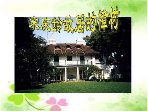 苏教版四年级下册语文《宋庆龄故居的樟树》课件PPT