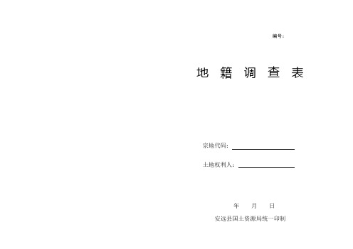 新地籍调查表