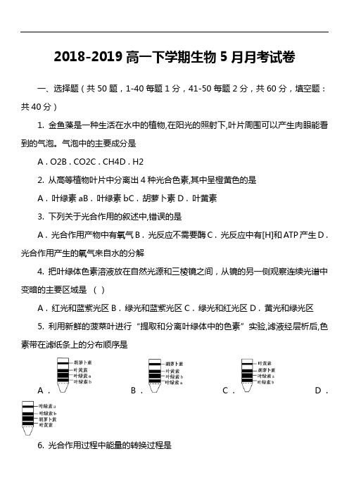 2018-2019高一下学期生物5月月考试卷真题