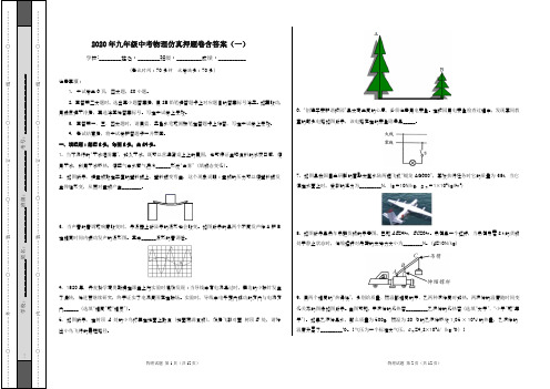 2020年九年级中考物理仿真押题卷含答案(一)