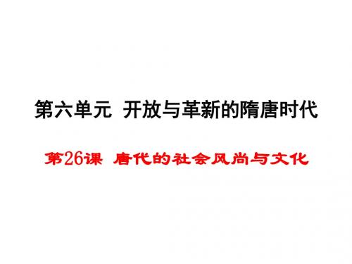 唐代的社会风尚与文化PPT课件 岳麓版