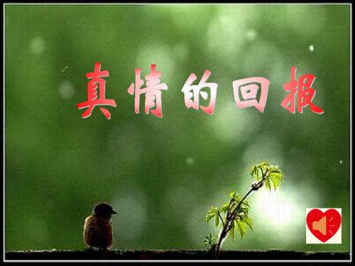 (教科版)三年级语文下册课件-真情的回报
