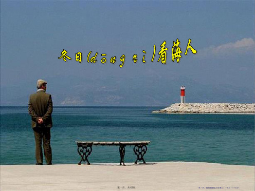 《冬日看海人》PPT课件