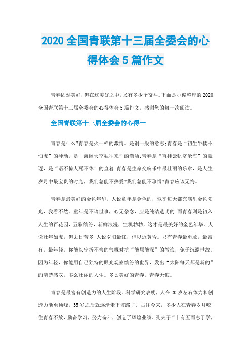 2020全国青联第十三届全委会的心得体会5篇作文