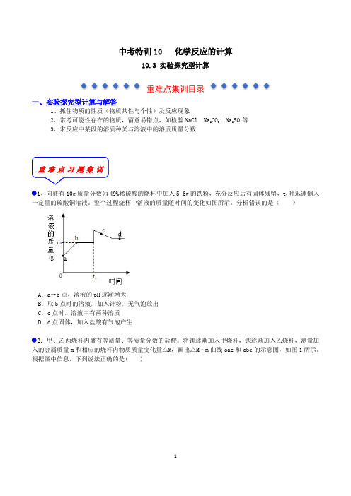 2020年浙江科学中考特训——实验探究型化学计算