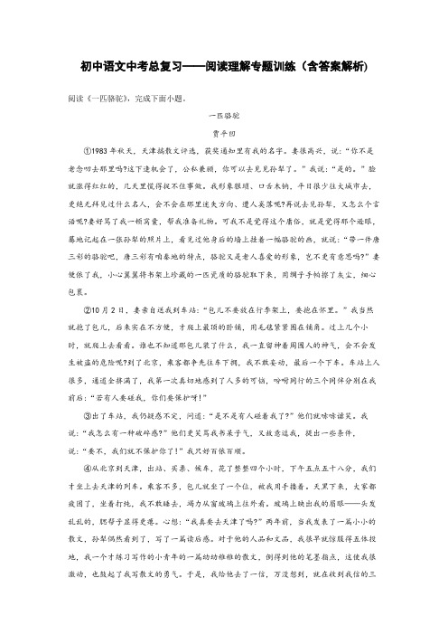 初中语文中考总复习阅读理解专题训练《贾平凹-一匹骆驼》(含答案解析) - 副本 (11)