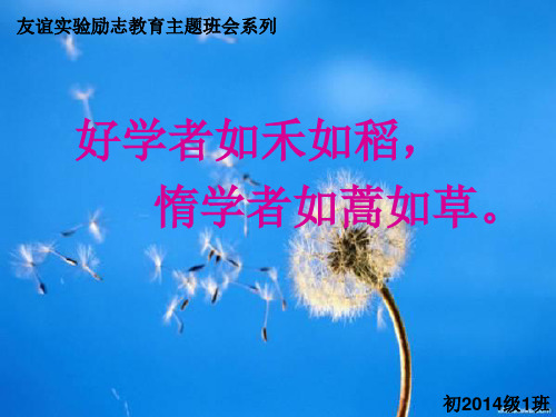 勤能补拙(初2014级1班)主题班会ppt课件