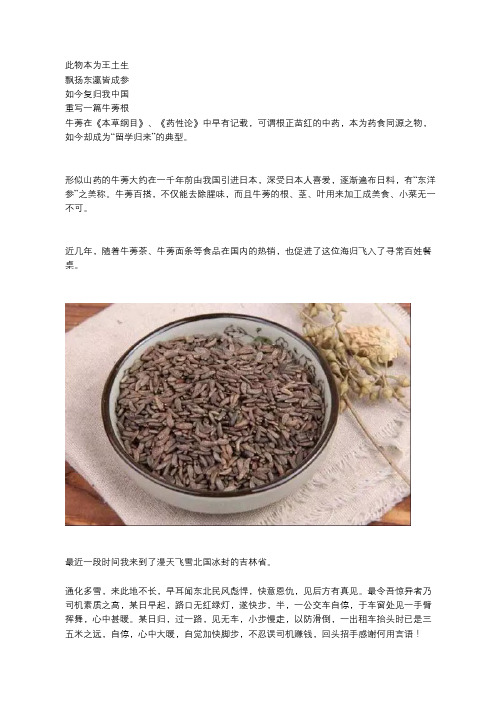 中药知识：牛蒡子