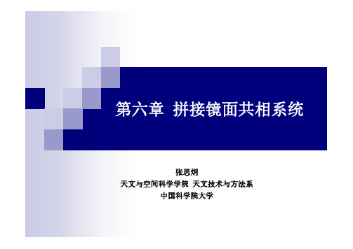 Chapter 6 拼接镜面共相系统