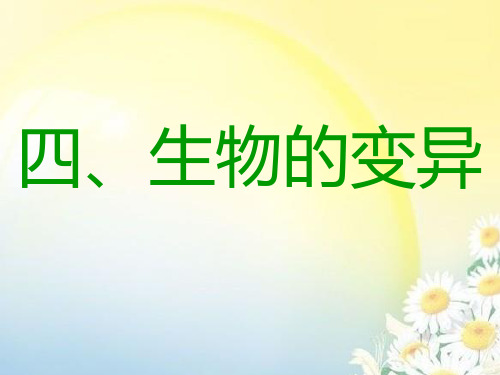会考复习必修二课件专题四、生物的变异  (17张PPT)