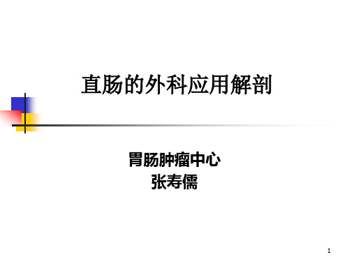 直肠癌的应用解剖幻灯片PPT课件