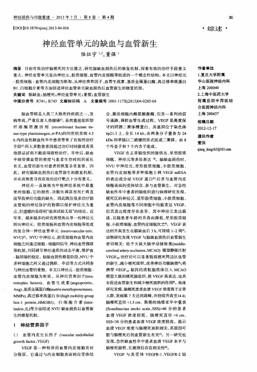神经血管单元的缺血与血管新生