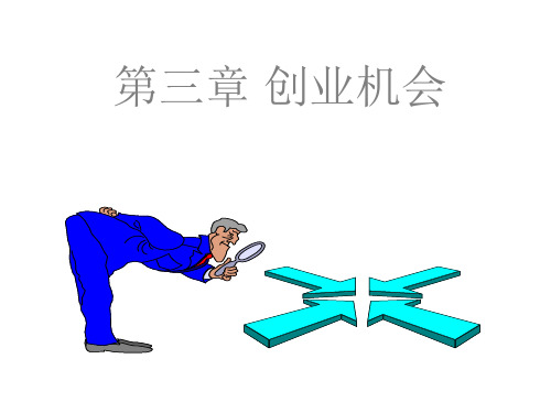 创业机会(PPT34页)