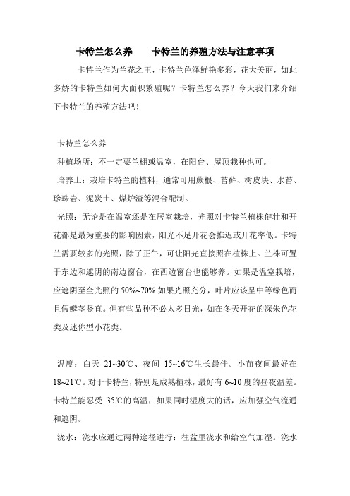 卡特兰怎么养    卡特兰的养殖方法与注意事项.doc
