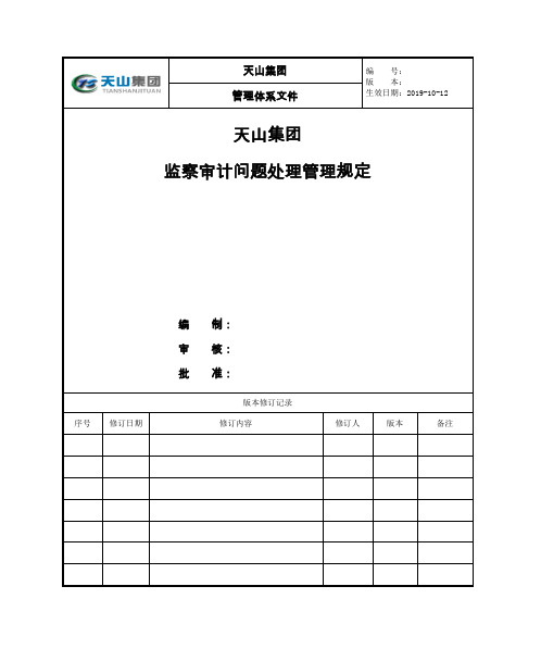 监察审计问题处理管理规定