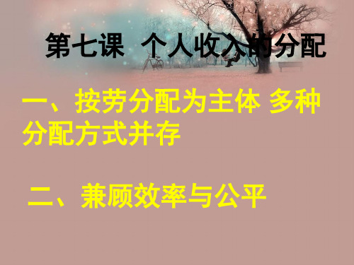 个人收入的分配PPT教学课件