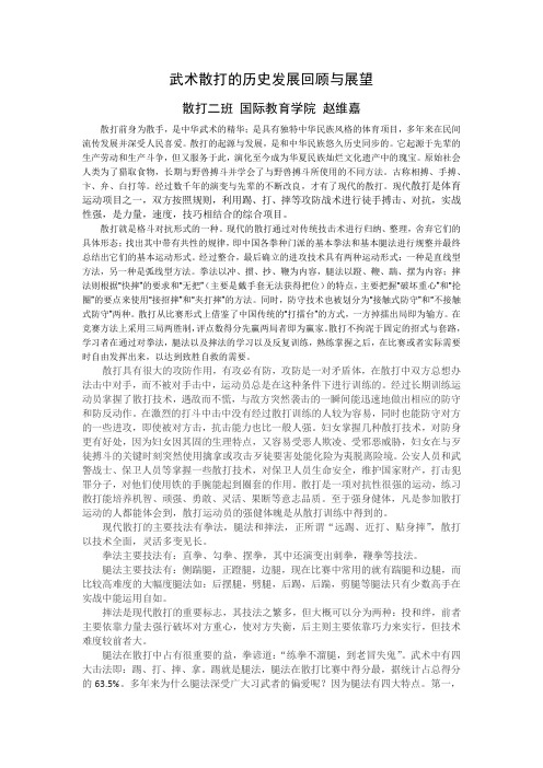 武术散打的历史发展回顾与展望