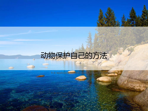动物保护自己的方法》ppt课件模板