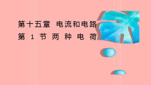 《两种电荷》完美课件1