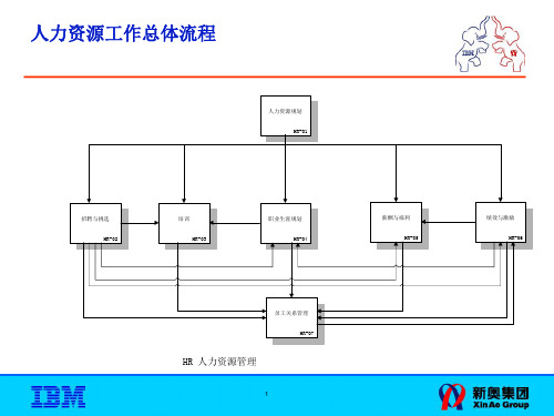 IBM-新奥燃气控股集团—人力资源工作总体流程