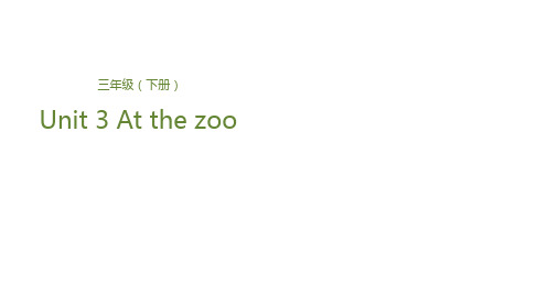 三年级下册英语课件-Unit 3 At the zooLesson 1 动物园里的动物们 人教(PEP)(共22张PPT)
