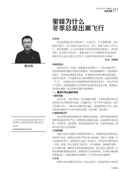 蜜蜂为什么冬季总是出巢飞行