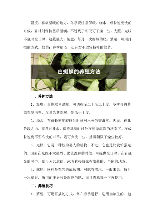 白蝴蝶的养殖方法