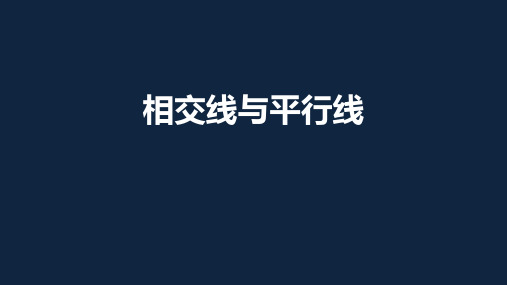 2020年苏科版数学中考专题复习课件：相交线和平行线(共20张PPT)