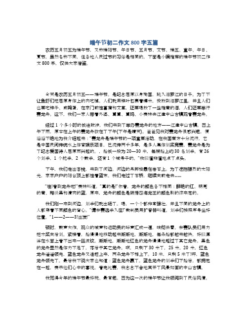 端午节初二作文800字五篇