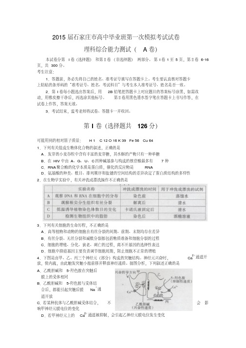 2015届河北省石家庄市高三高中毕业班第一次模拟考试试题理综