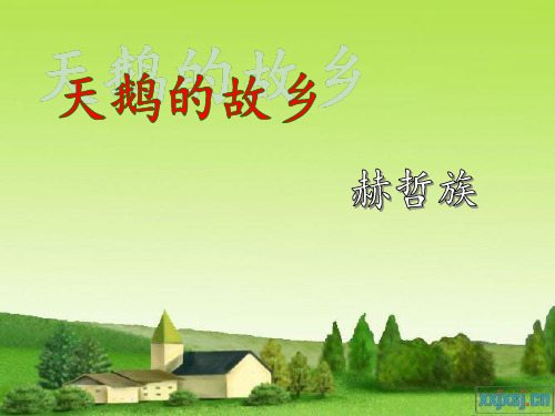 赫哲族简介-PPT资料
