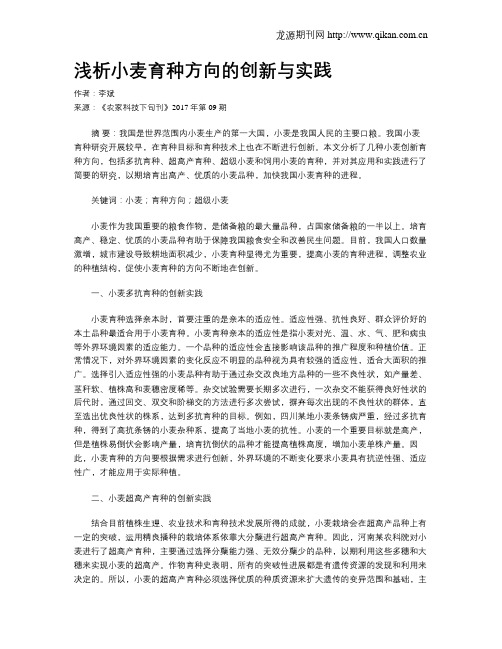 浅析小麦育种方向的创新与实践