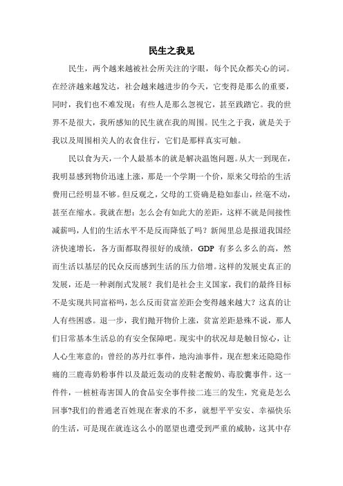 民生之我见