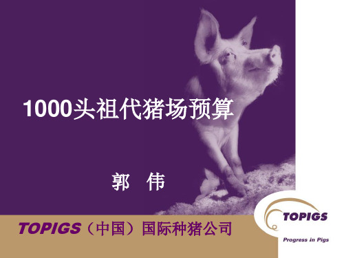 1000头基础母猪成本预算