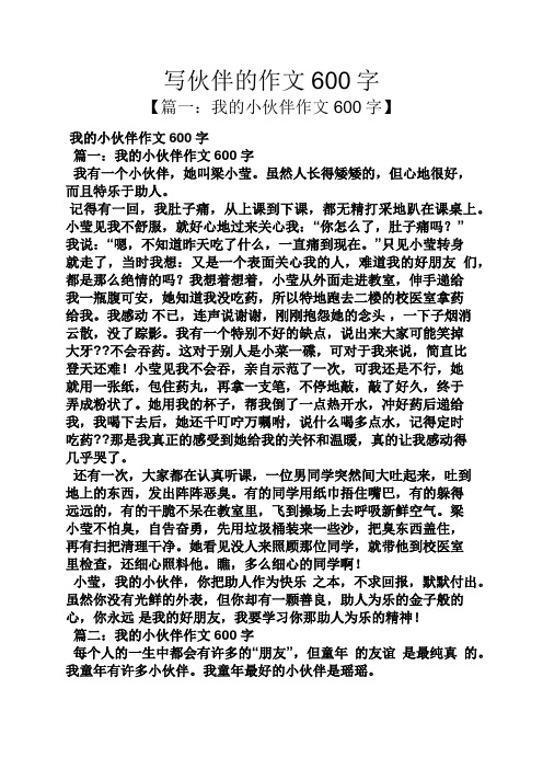 伙伴作文之写伙伴的作文600字