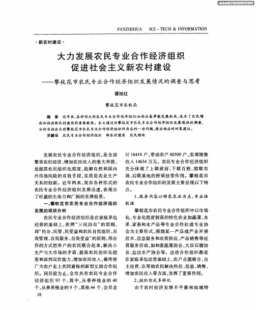 大力发展农民专业合作经济组织促进社会主义新农村建设——攀枝花市农民专业合作经济组织发展情况的调查