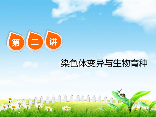 2019三维设计高考生物一轮复习课件：必修2三单元二讲染色体变异与生物育种