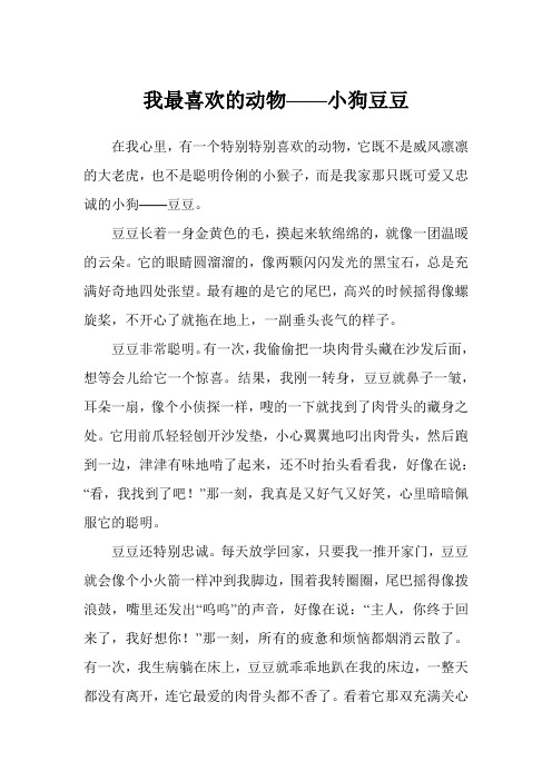 我最喜欢的动物——小狗豆豆