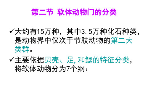 动物学 9-3软体动物分类ppt课件