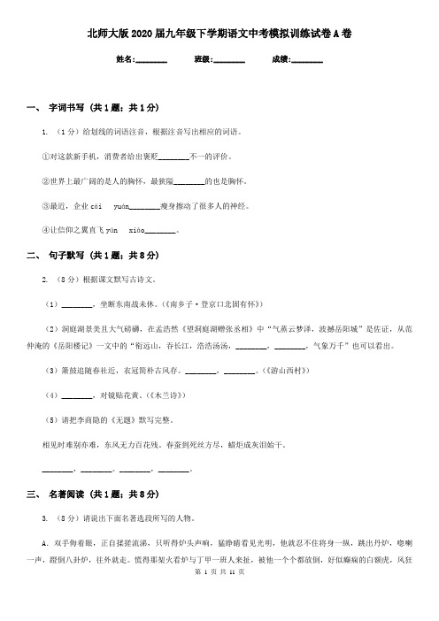 北师大版2020届九年级下学期语文中考模拟训练试卷A卷