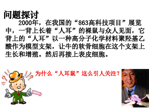 高一生物人体的器官移植(PPT)5-2