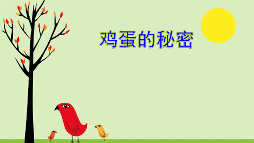 【教科版】动物的卵完美课件1