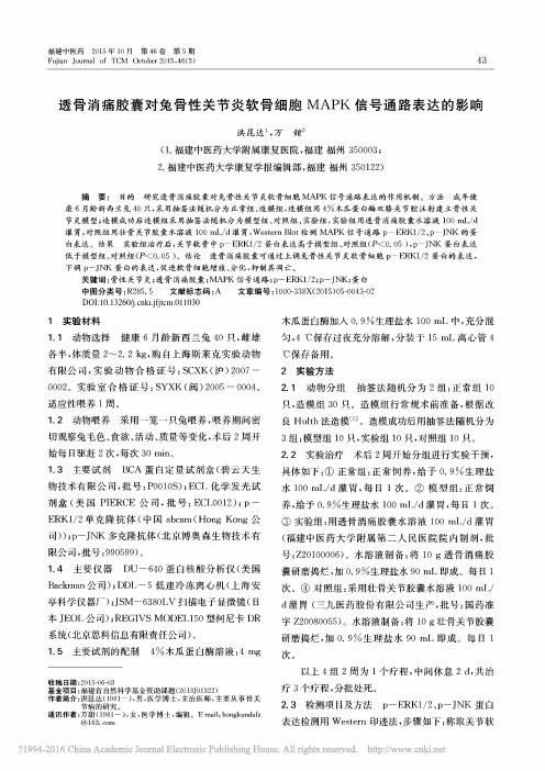 透骨消痛胶囊对兔骨性关节炎软骨细胞MAPK信号通路表达的影响_洪昆达