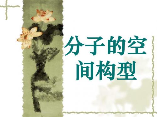 分子构型与物质的性质
